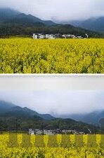 久久久久亚洲av麻豆人人-探索久久与亚洲av麻豆人人的多元化视角解析