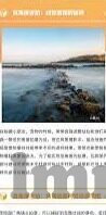 撸美乳人妻-探索家庭与欲望的微妙平衡，美乳人妻的温柔诱惑